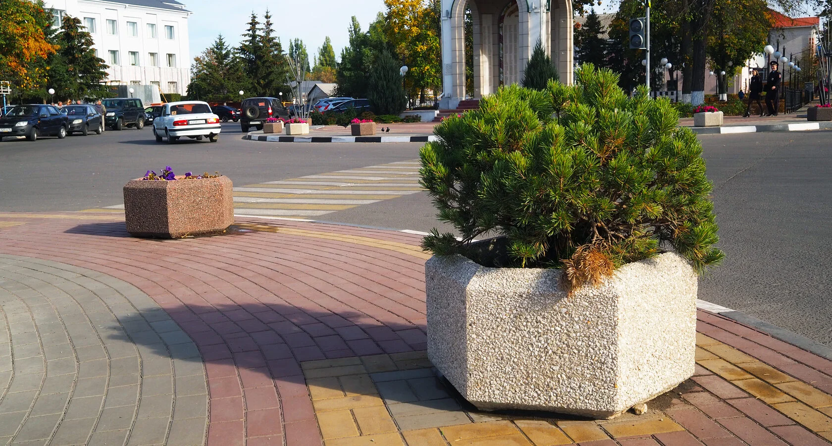 Вазоны